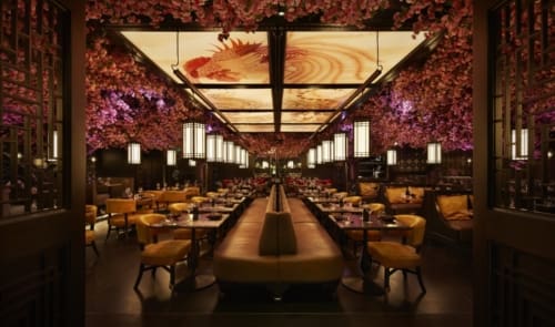 Illuminated ceiling for Edinburgh Tattu