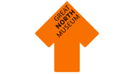 An orange upward-pointing arrow with the text "GREAT NORTH MUSEUM" written inside in black capital letters. The arrow signifies direction or guidance towards the Great North Museum.