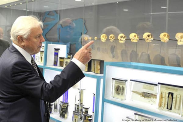 An older man in a suit gestures towards a display of skulls in a museum exhibition. The shelves beneath the skulls, illuminated by LED shelf lighting, contain preserved biological specimens in jars. The exhibit appears to focus on natural history or anthropology.