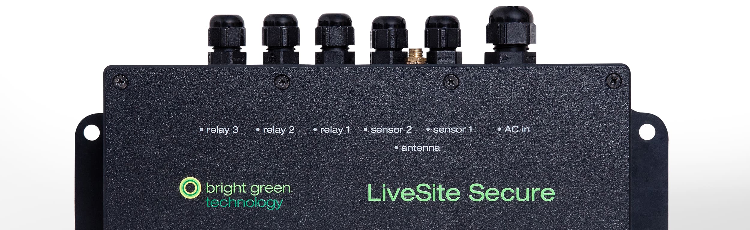 Bright Green LiveSite